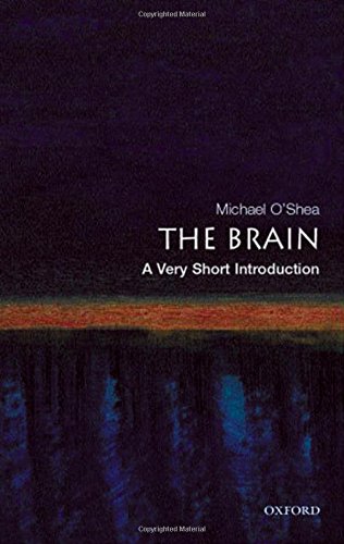 Book Cover The Brain: A Very Short Introduction