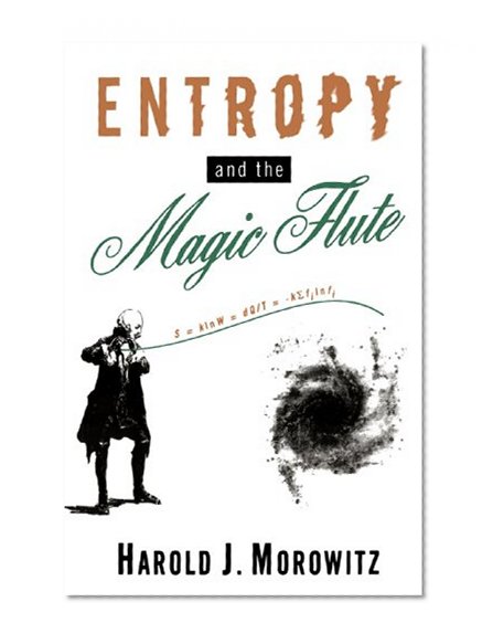 Entropy and the Magic Flute