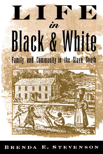 Life in Black and White: Family and Community in the Slave South