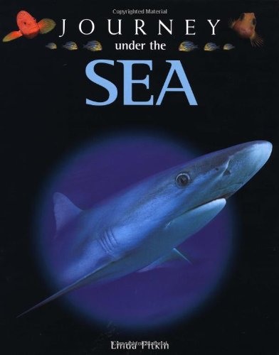 Journey under the Sea