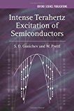 Intense Terahertz Excitation of Semiconductors (Series on Semiconductor Science and Technology)
