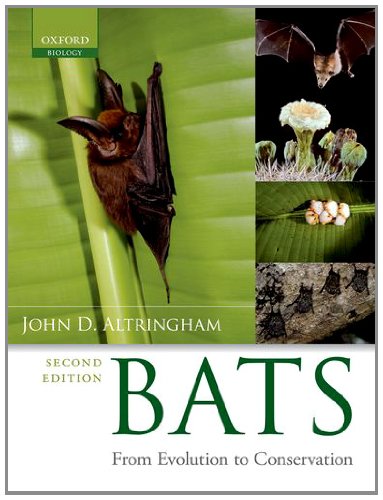 Book Cover Bats: From Evolution to Conservation