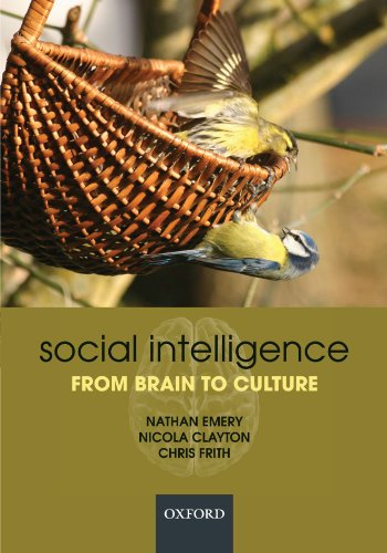 Social Intelligence: From Brain to Culture