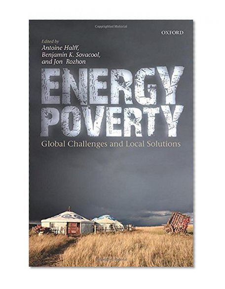 Energy Poverty: Global Challenges and Local Solutions