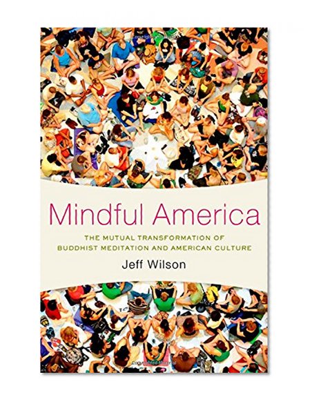 Book Cover Mindful America: The Mutual Transformation of Buddhist Meditation and American Culture