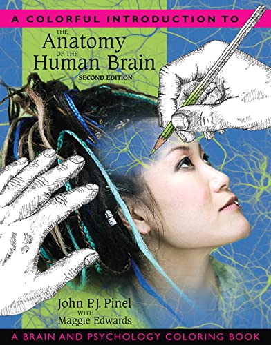 Book Cover Colorful Introduction to the Anatomy of the Human Brain, A: A Brain and Psychology Coloring Book