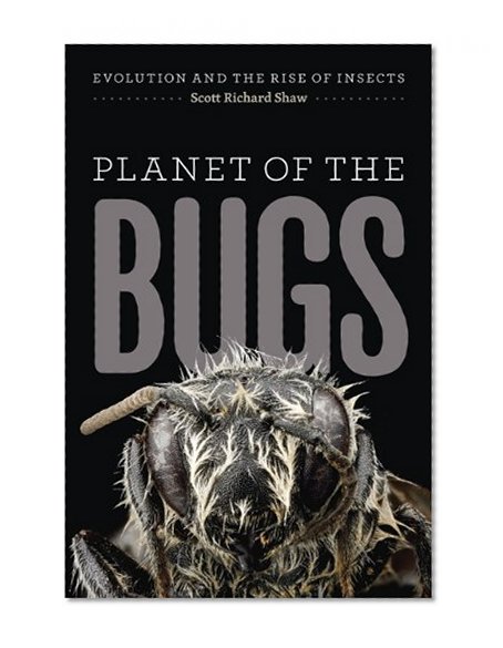 Planet of the Bugs: Evolution and the Rise of Insects