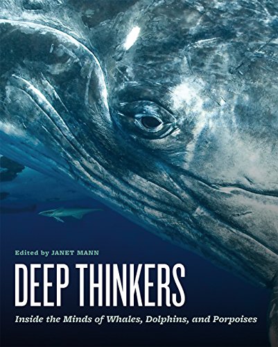 Book Cover Deep Thinkers: Inside the Minds of Whales, Dolphins, and Porpoises