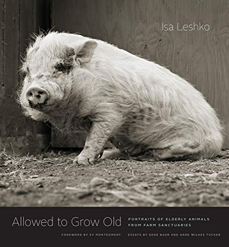 Book Cover Allowed to Grow Old: Portraits of Elderly Animals from Farm Sanctuaries