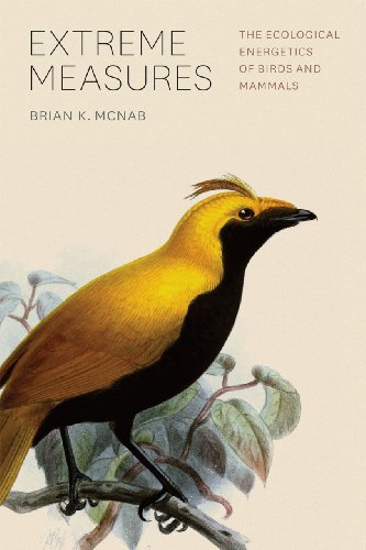 Book Cover Extreme Measures: The Ecological Energetics of Birds and Mammals