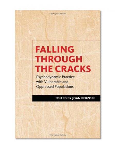Book Cover Falling Through the Cracks: Psychodynamic Practice with Vulnerable and Oppressed Populations