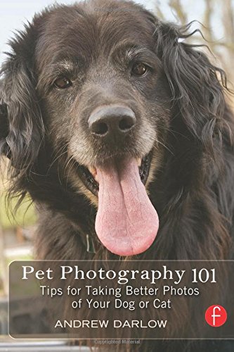 Book Cover Pet Photography 101: Tips for taking better photos of your dog or cat