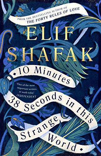 Book Cover 10 Minutes 38 Seconds in this Strange World
