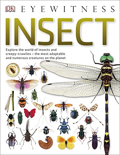 Insect: Explore the world of insects and creepy-crawlies â€“ the most adaptable and numerous creatures on the planet (DK Eyewitness)