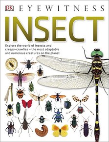 Insect: Explore the world of insects and creepy-crawlies â€“ the most adaptable and numerous creatures on the planet (DK Eyewitness)