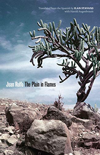Book Cover The Plain in Flames (Joe R. and Teresa Lozano Long Series in Latin American and Latino Art and Culture)