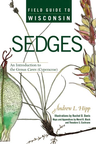 Book Cover Field Guide to Wisconsin Sedges: An Introduction to the Genus Carex (Cyperaceae)