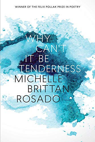 Book Cover Why Can't It Be Tenderness (Wisconsin Poetry Series)