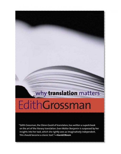 Book Cover Why Translation Matters (Why X Matters Series)