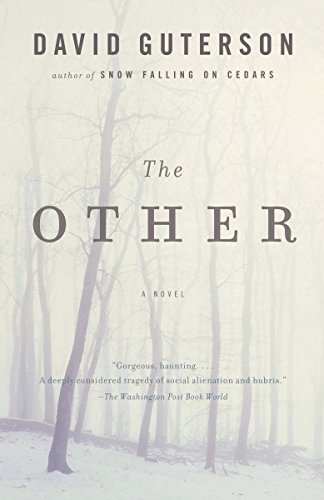 Book Cover The Other (Vintage Contemporaries)