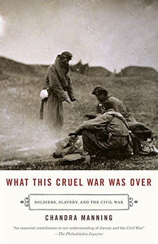 Book Cover What This Cruel War Was Over: Soldiers, Slavery, and the Civil War
