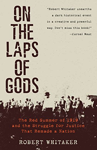 Book Cover On the Laps of Gods: The Red Summer of 1919 and the Struggle for Justice That Remade a Nation