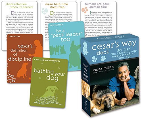 Book Cover Cesar's Way Deck: 50 Tips for Training and Understanding Your Dog