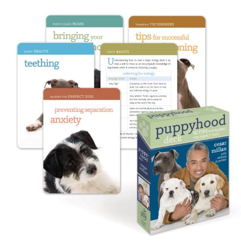 Book Cover Puppyhood Deck: 50 Tips for Raising the Perfect Dog