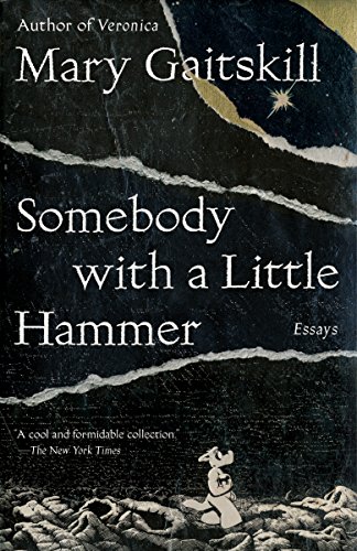 Book Cover Somebody with a Little Hammer: Essays