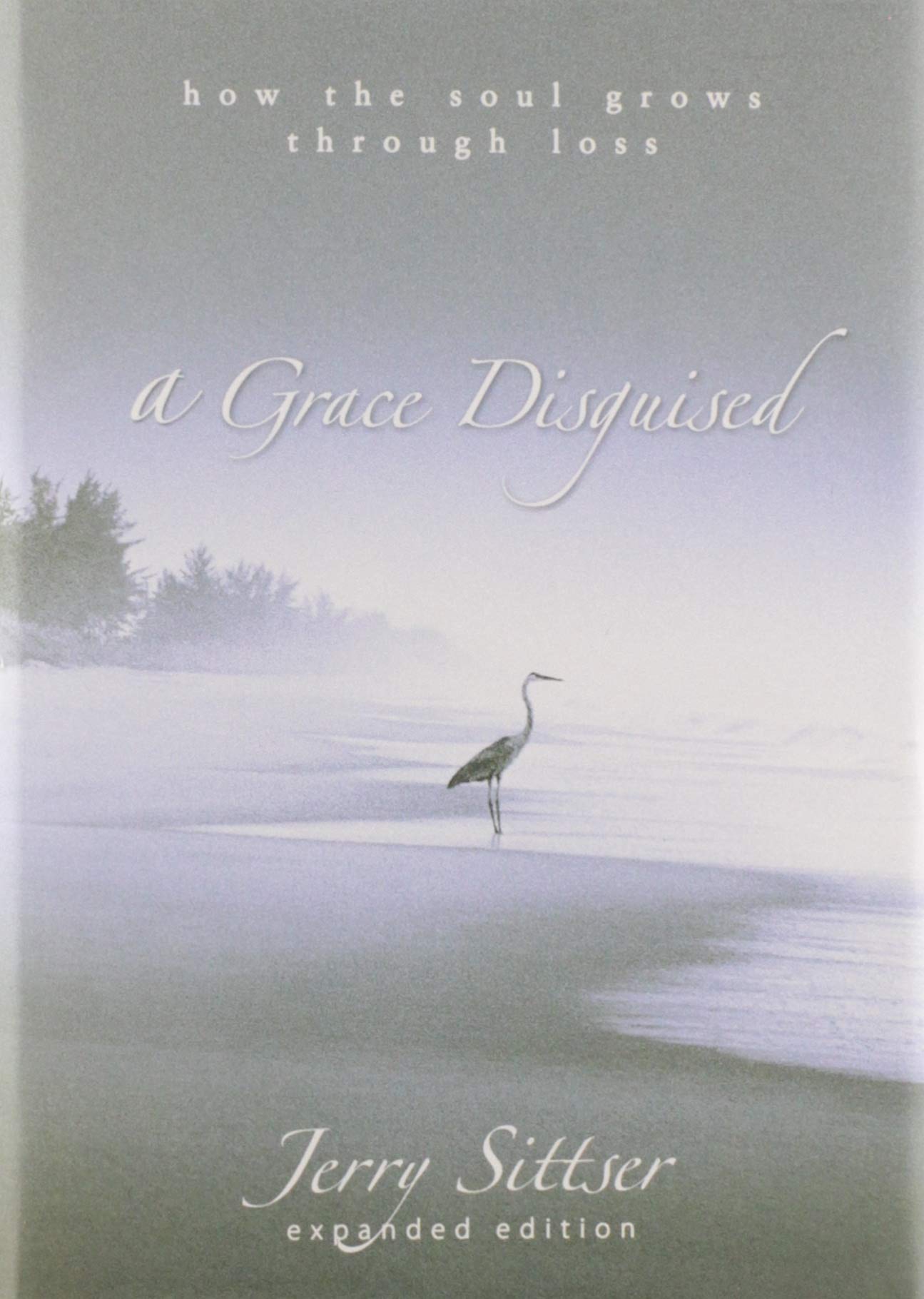 Book Cover A Grace Disguised: How the Soul Grows through Loss