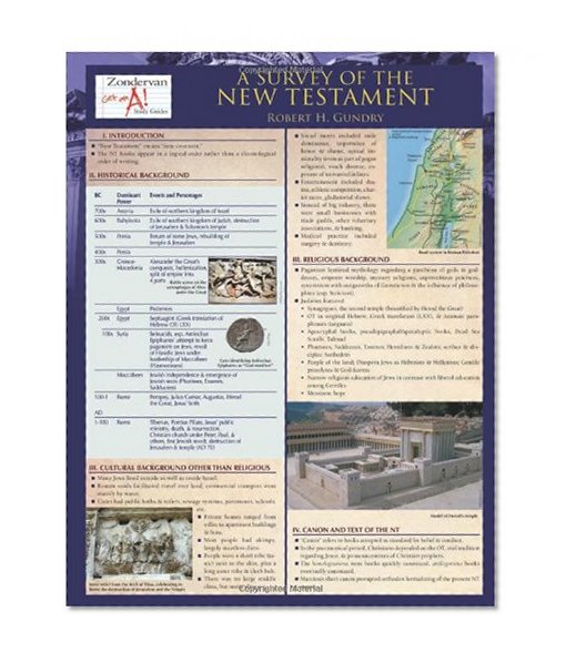 Book Cover A Survey of the New Testament Laminated Sheet (Zondervan Get an A! Study Guides)