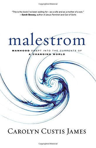 Book Cover Malestrom: Manhood Swept into the Currents of a Changing World