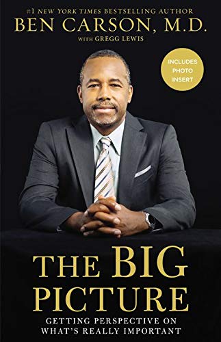 Book Cover The Big Picture: Getting Perspective on What's Really Important