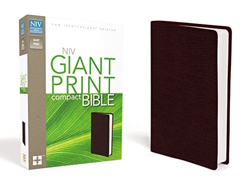Book Cover NIV Giant Print Compact Bible