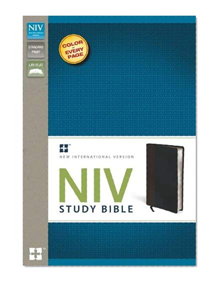 Book Cover NIV Study Bible, Leathersoft, Brown/Black, Red Letter Edition