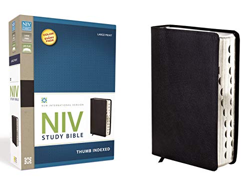 Book Cover NIV Study Bible, Large Print, Bonded Leather, Black, Red Letter Edition, Thumb Indexed