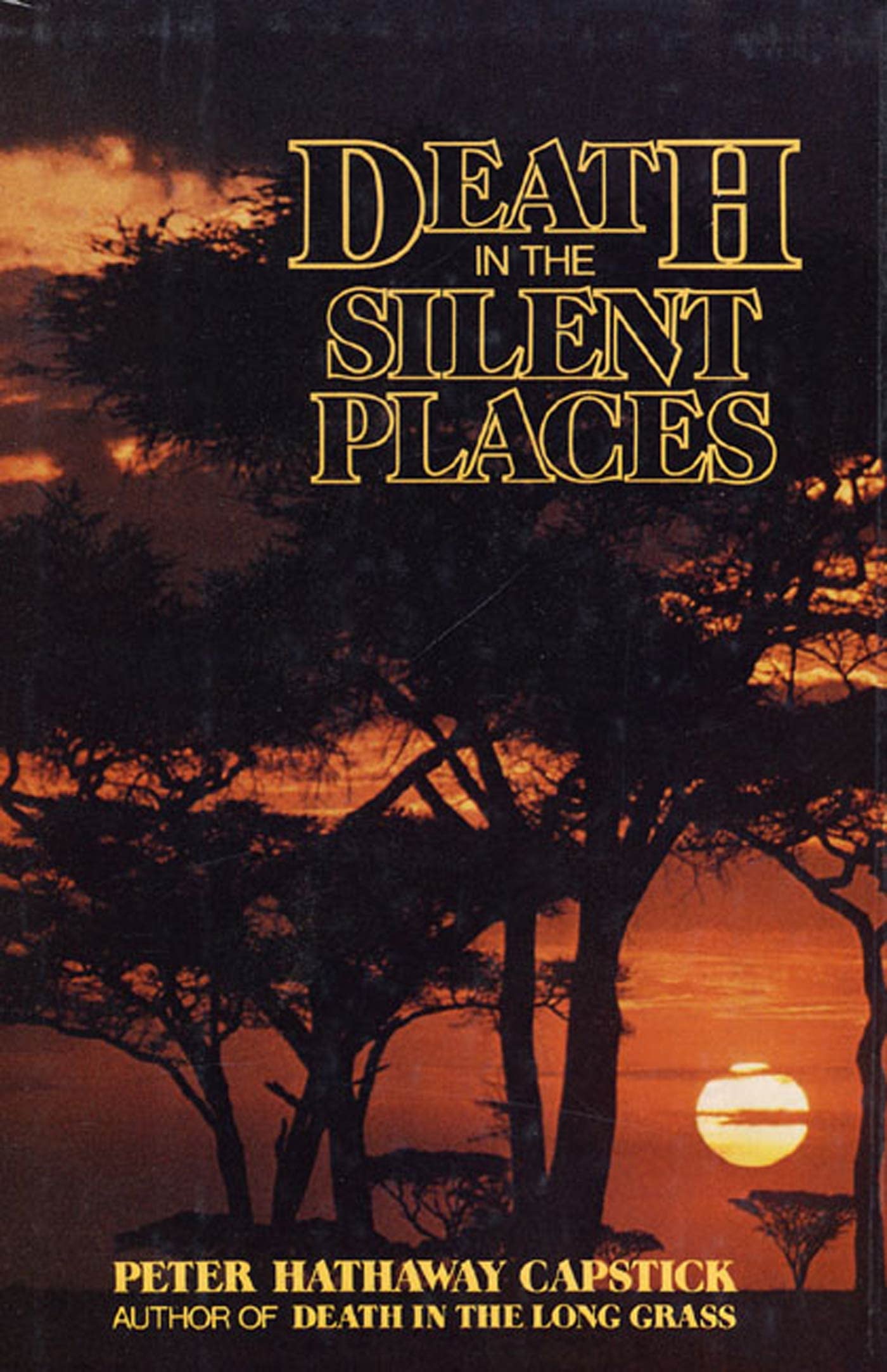Book Cover Death in the Silent Places
