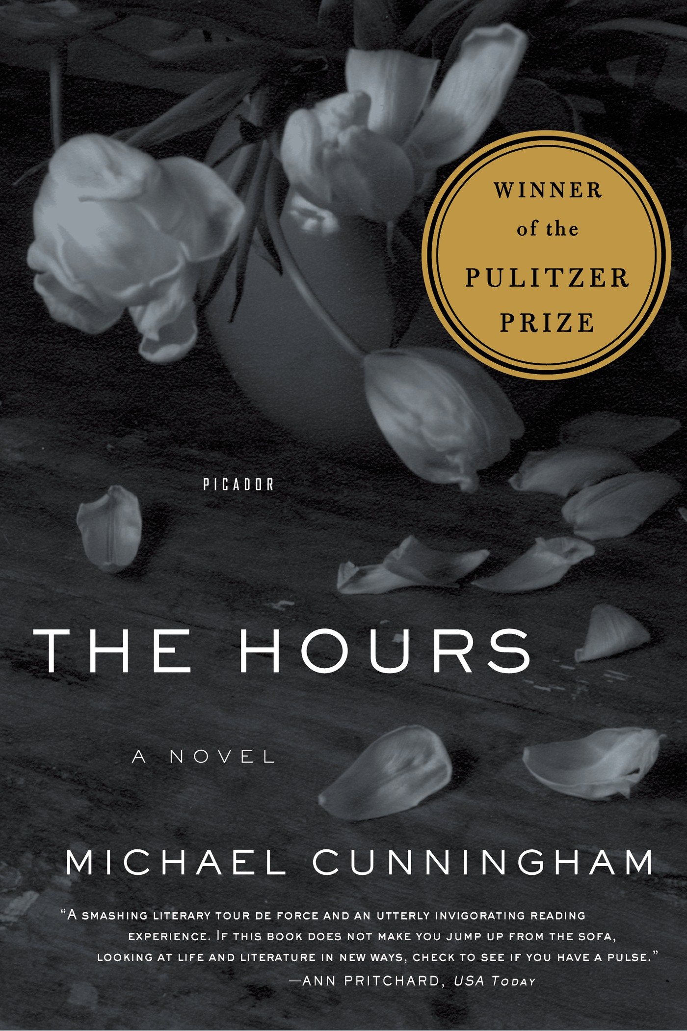 Book Cover The Hours: A Novel (Picador Modern Classics, 1)