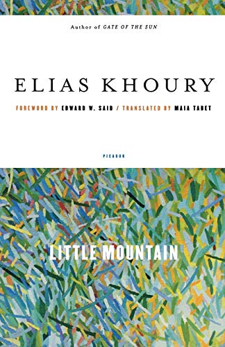 Book Cover Little Mountain