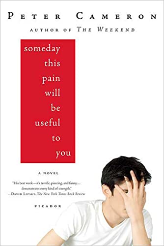 Book Cover Someday This Pain Will Be Useful to You: A Novel
