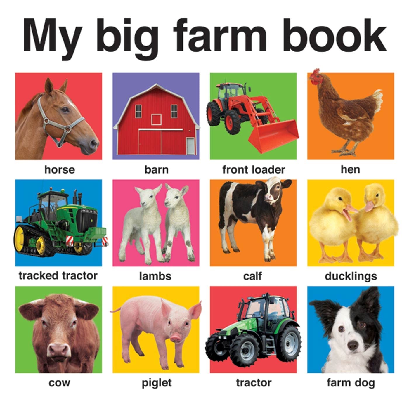 Book Cover My Big Farm Book (My Big Board Books)