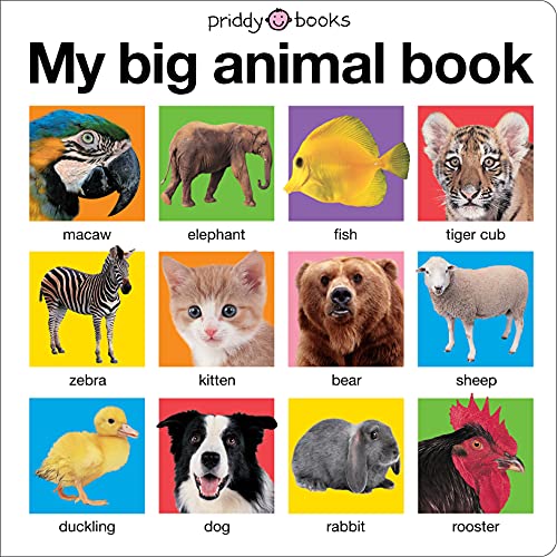 Book Cover My Big Animal Book (My Big Board Books)