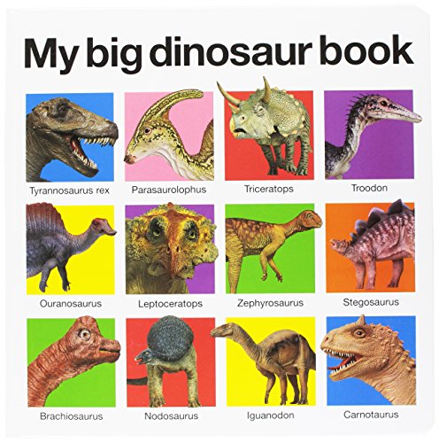 Book Cover My Big Dinosaur Book (My Big Board Books)