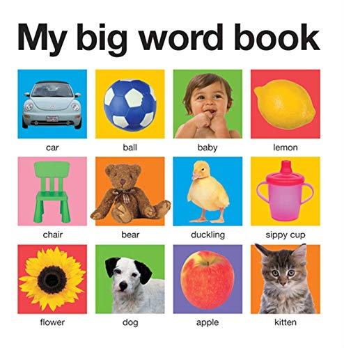 Book Cover My Big Word Book (casebound) (My Big Board Books)