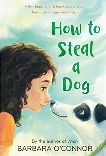 Book Cover How to Steal a Dog: A Novel
