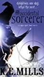 The Accidental Sorcerer (Rogue Agent, 1)