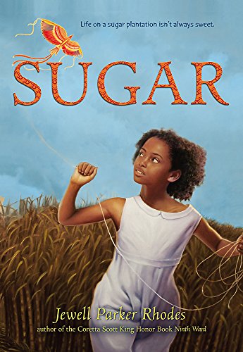 Book Cover Sugar