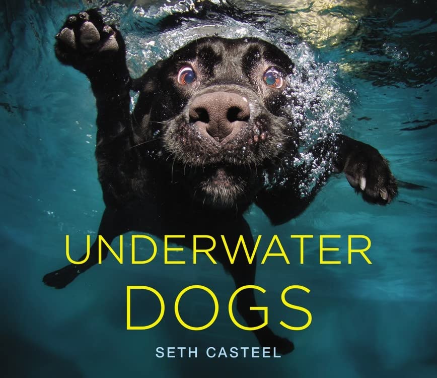 Book Cover Underwater Dogs