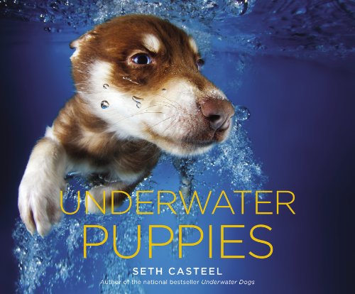 Book Cover Underwater Puppies