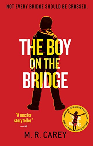 Book Cover The Boy on the Bridge